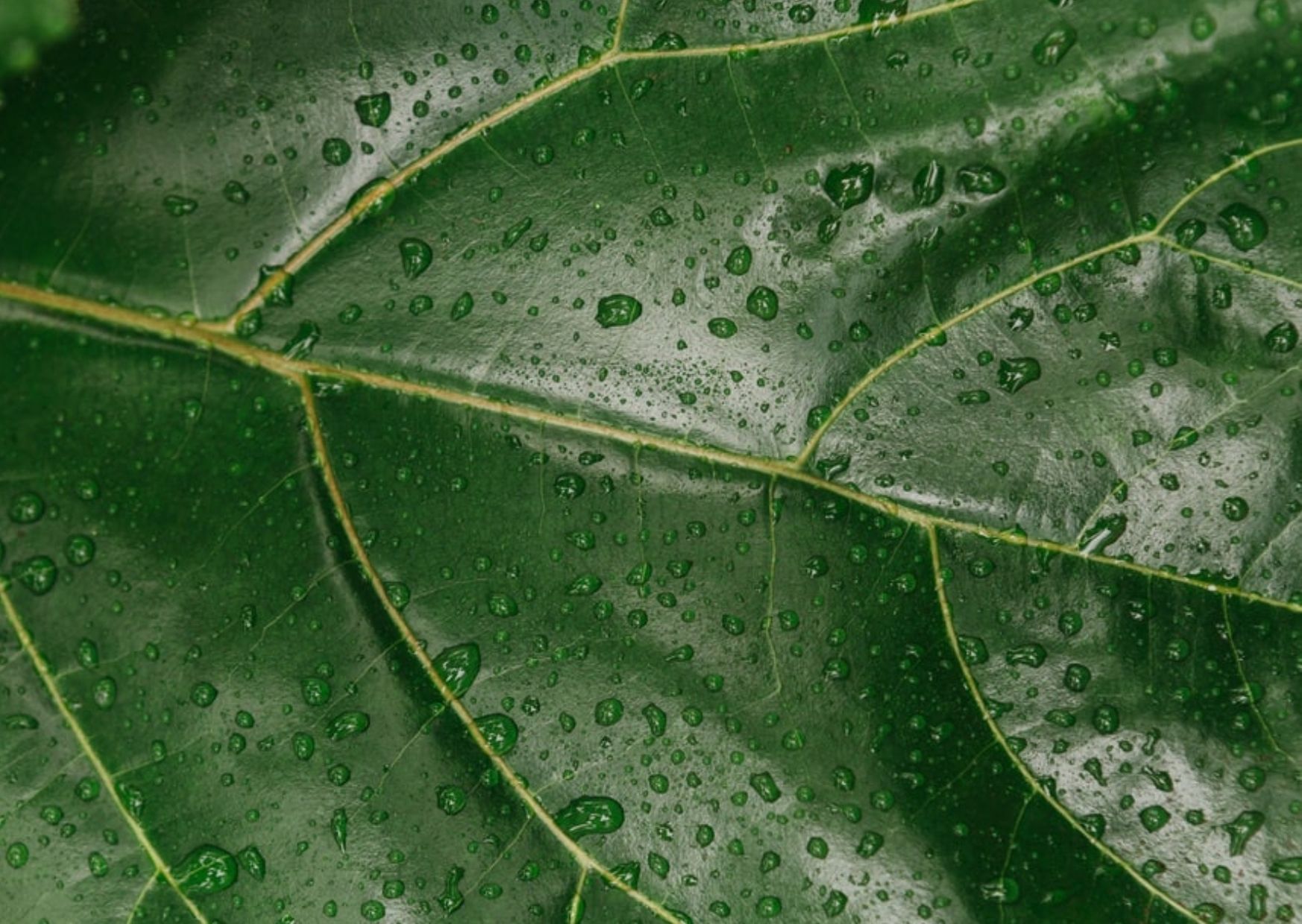 prepare your skin for summer