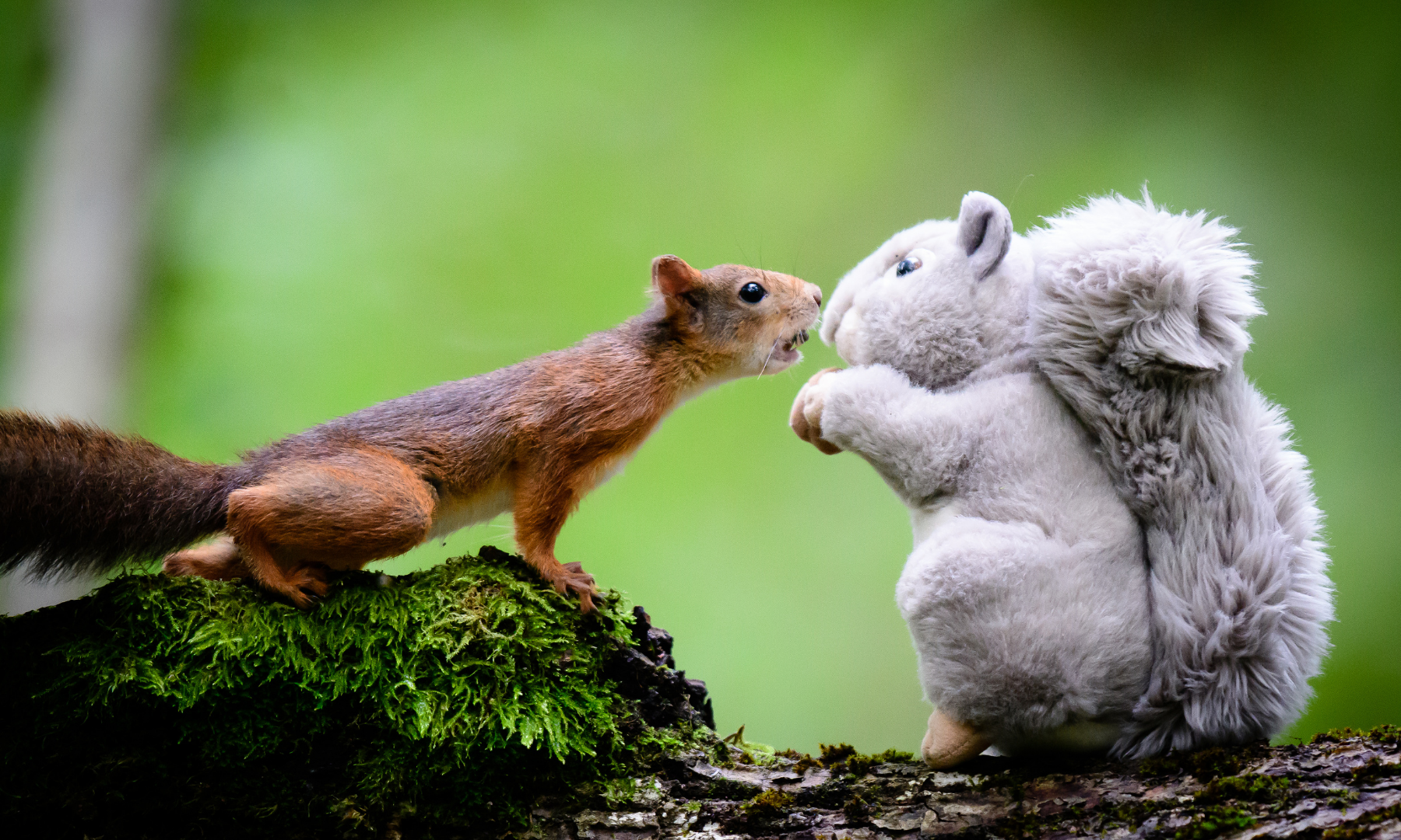 prodotti contraffatti