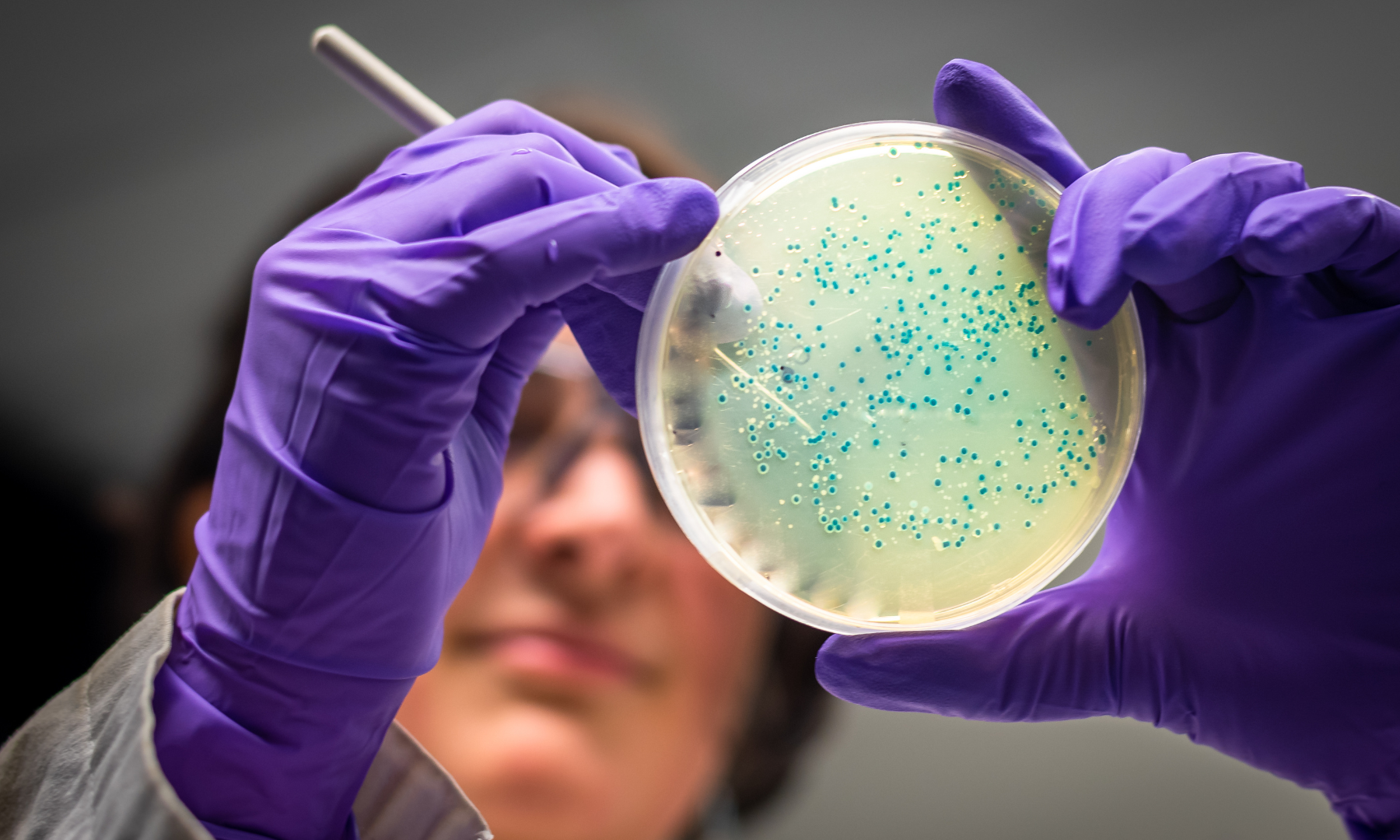 Human Microbiome Project