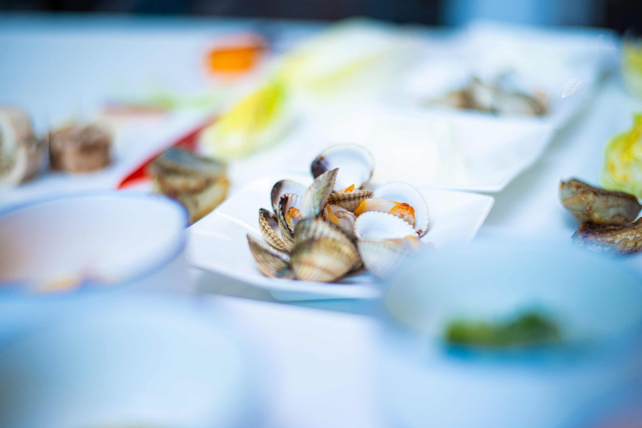 minerales para prevenir el envejecimiento