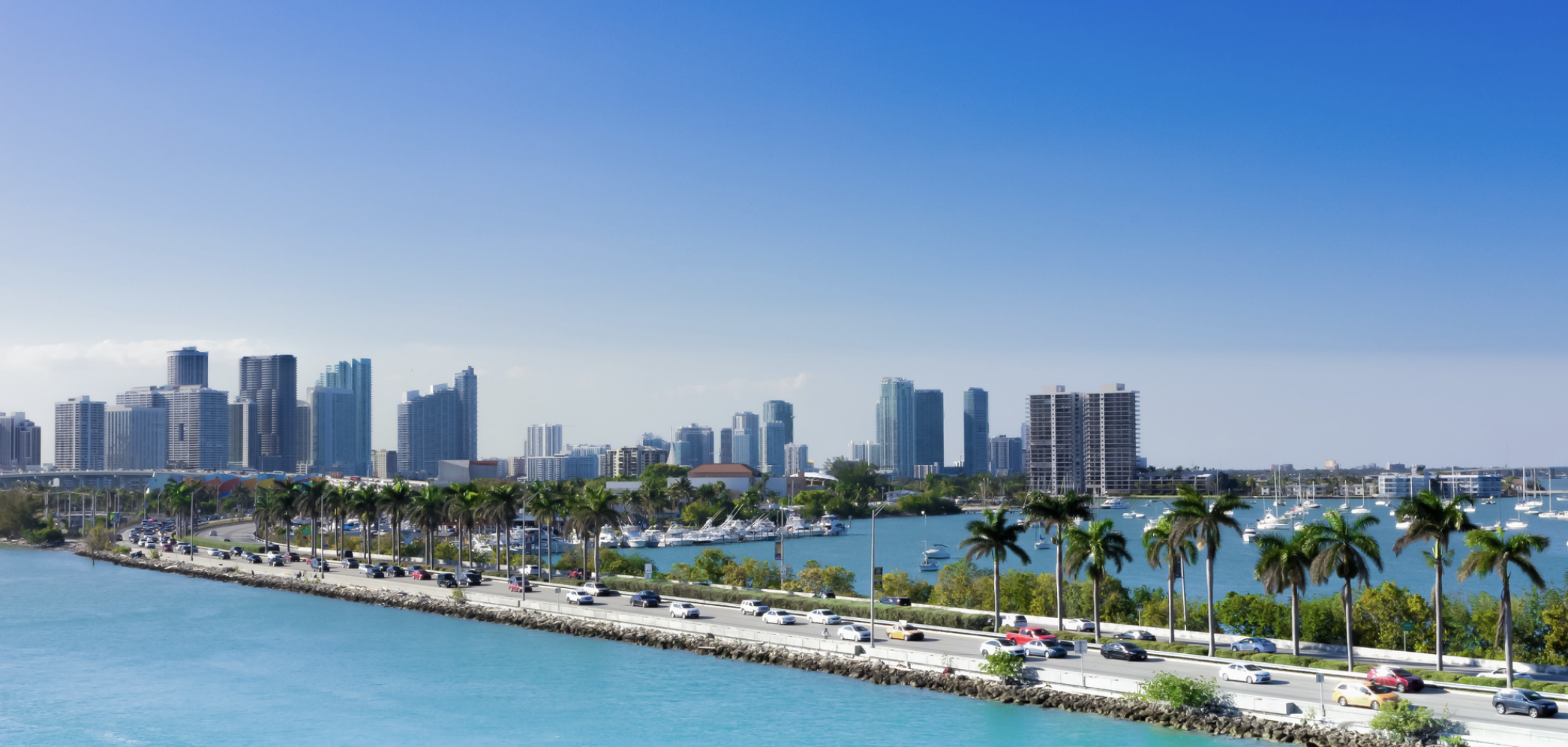 Image for Global Aesthetic Conference: Join Us at Loews Miami Beach! November 7-10th 2024